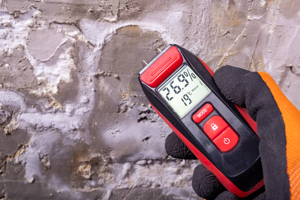 Best Toxic Mold Removal  in Lewisville, NC