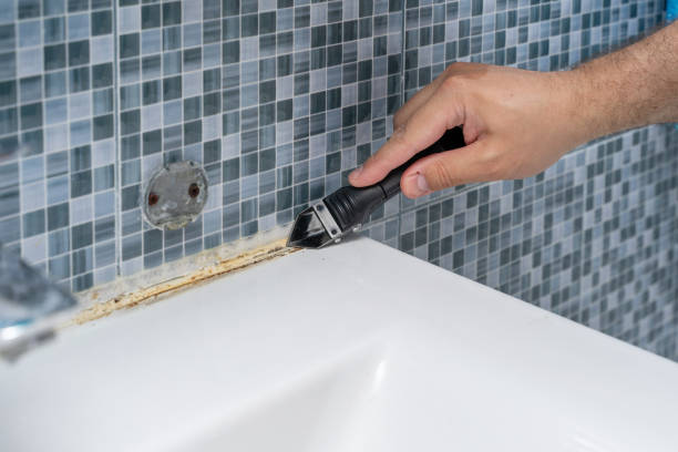 Best Mold Cleaning Services  in Lewisville, NC
